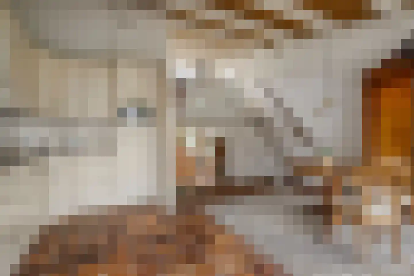 Walstro 44 Leusden thumbnail 10