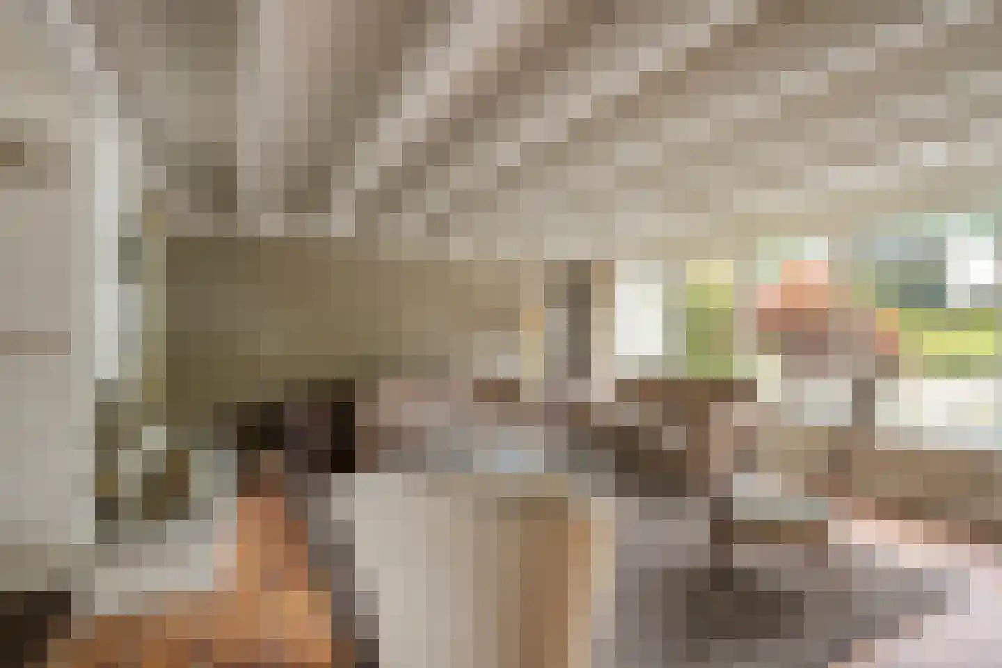 Walstro 44 Leusden thumbnail 12