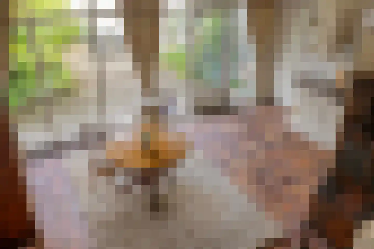 Walstro 44 Leusden thumbnail 14