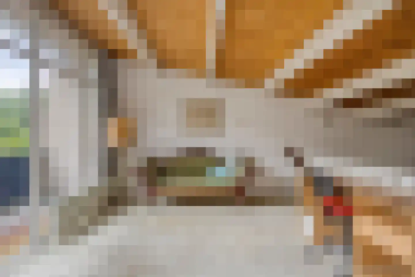 Walstro 44 Leusden thumbnail 16