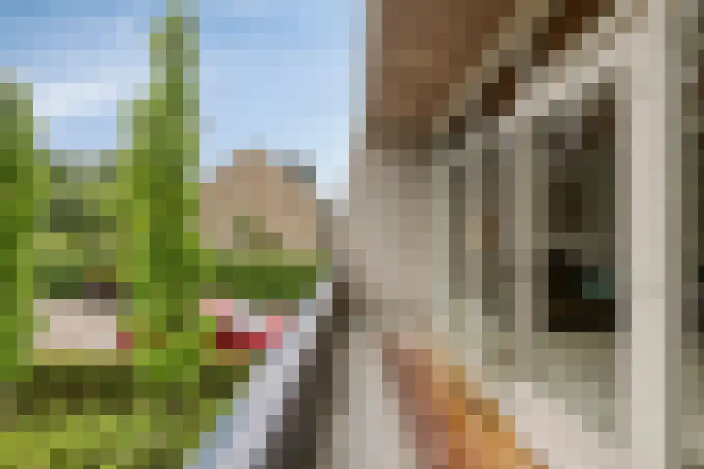 Walstro 44 Leusden thumbnail 19