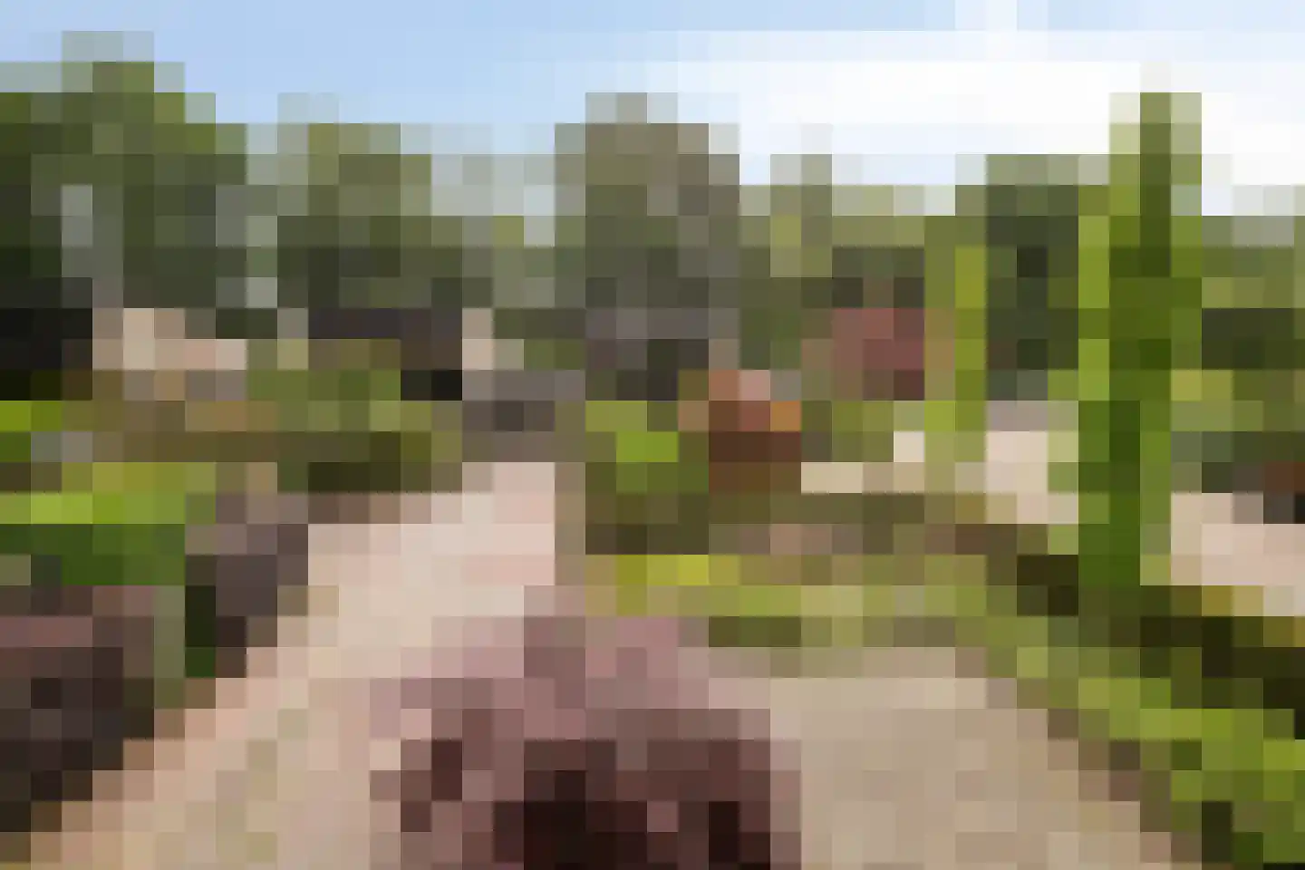 Walstro 44 Leusden thumbnail 20