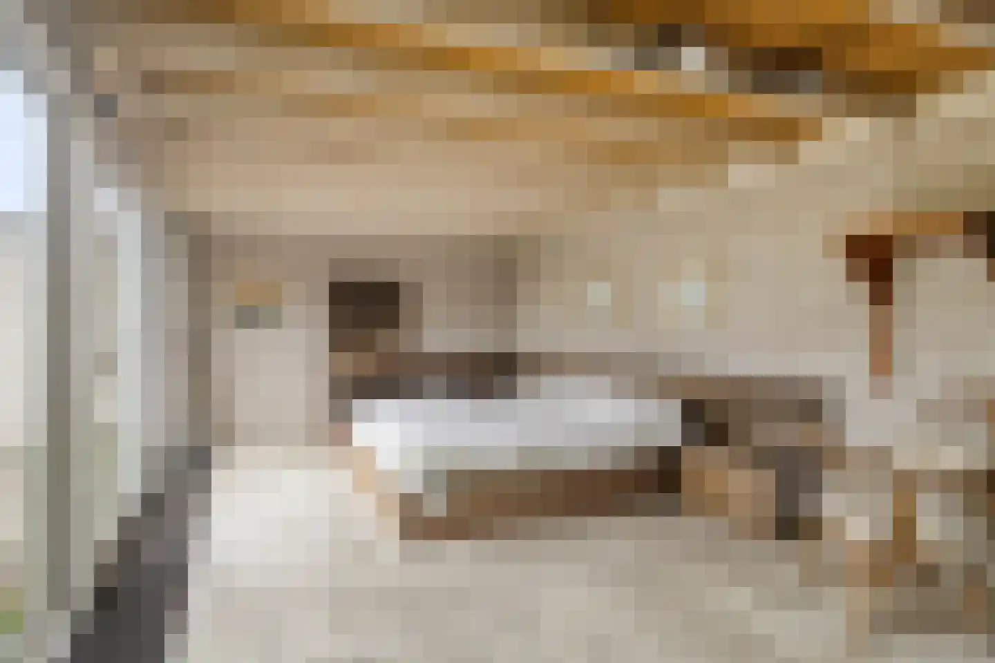 Walstro 44 Leusden thumbnail 21