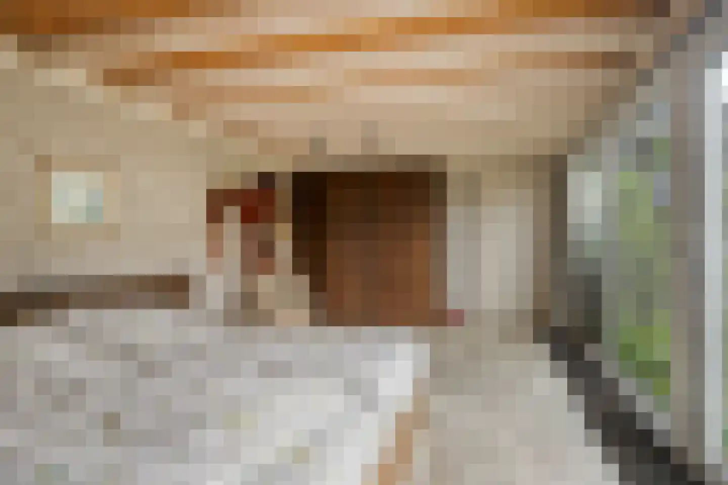 Walstro 44 Leusden thumbnail 23