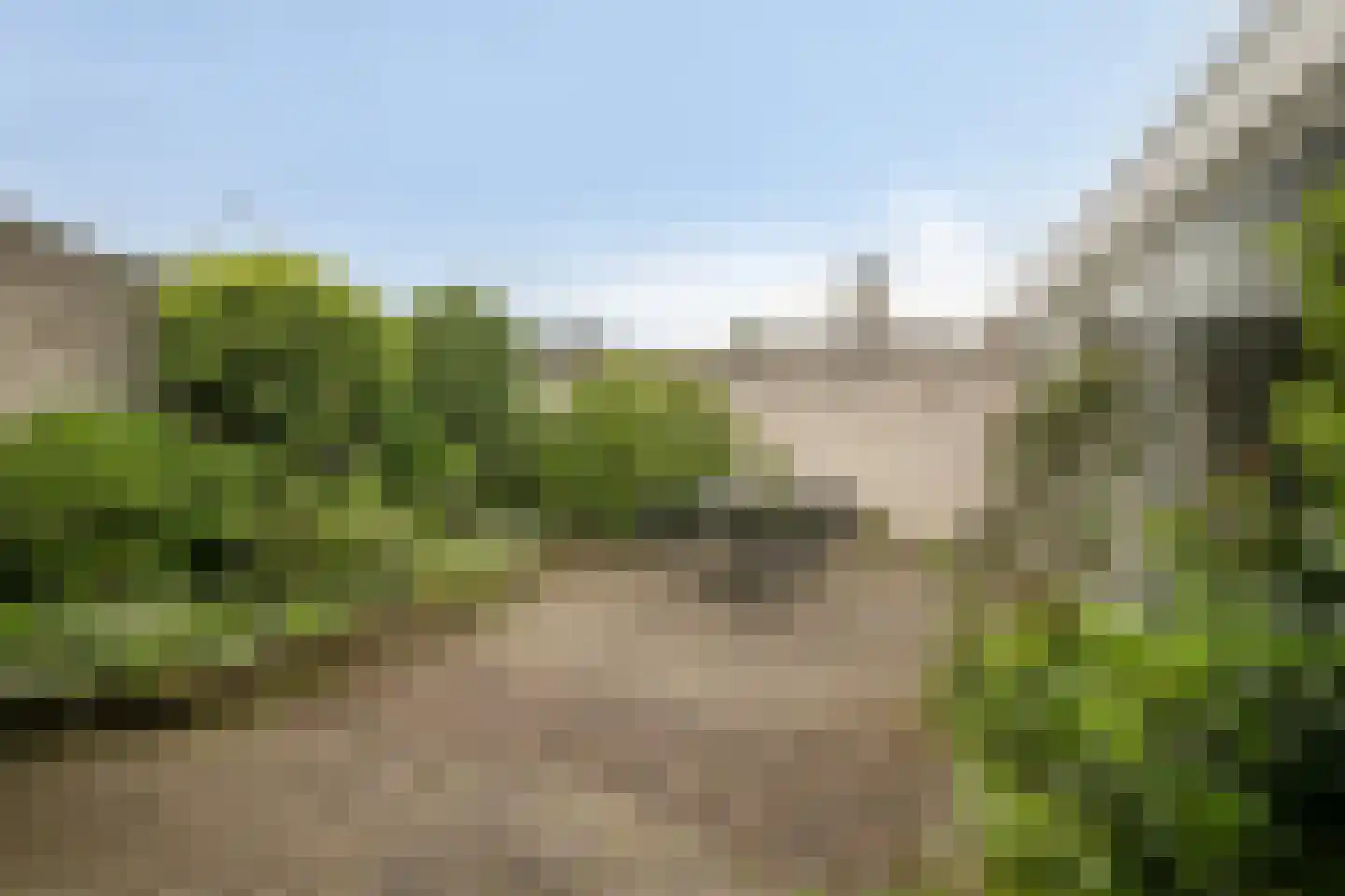Walstro 44 Leusden thumbnail 26