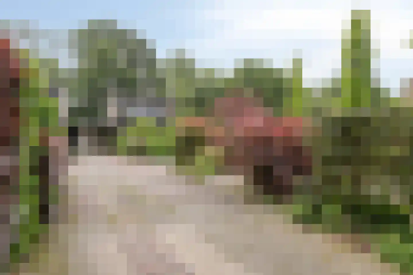 Walstro 44 Leusden thumbnail 29