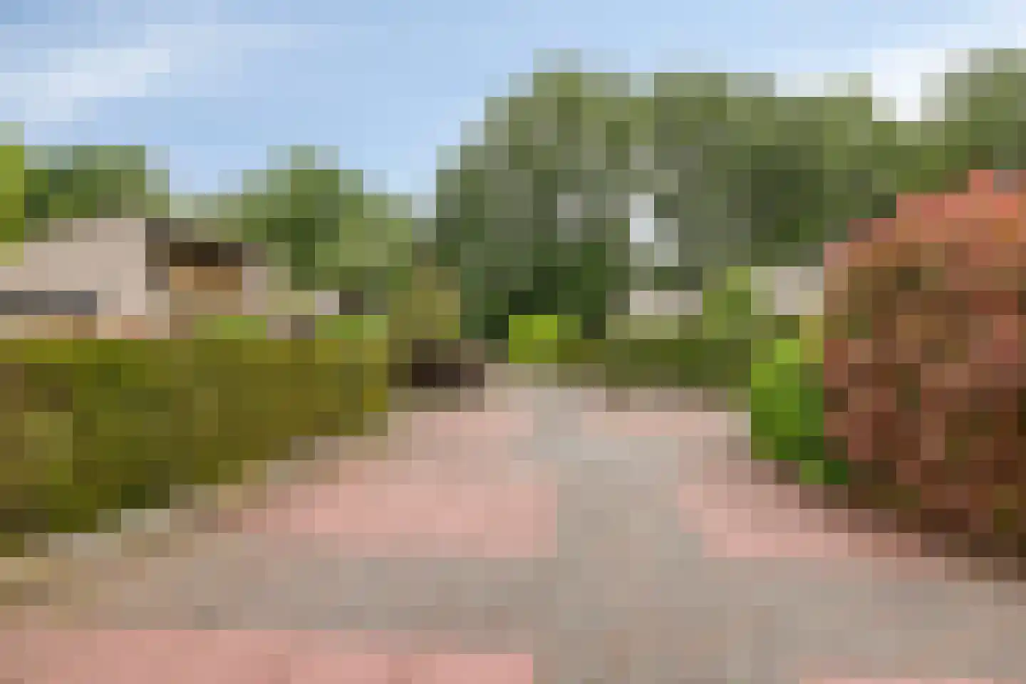 Walstro 44 Leusden thumbnail 31