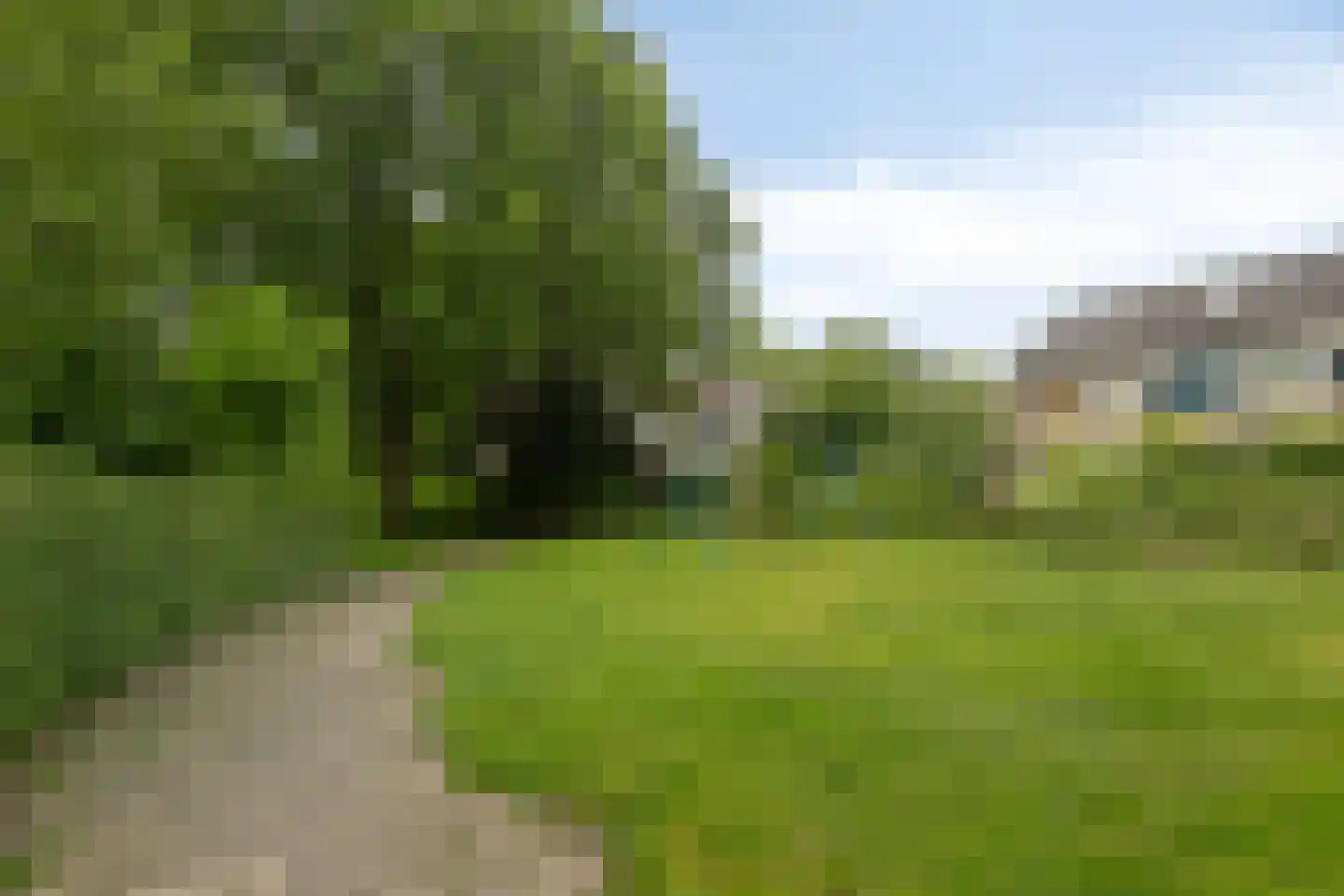 Walstro 44 Leusden thumbnail 33