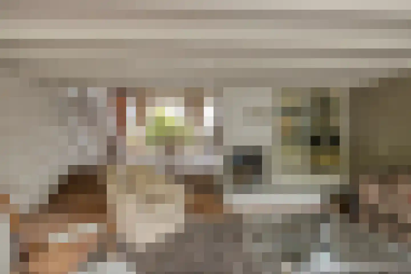 Walstro 44 Leusden thumbnail 4