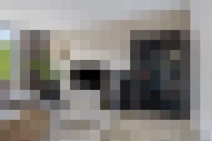 Walstro 45 Sneek thumbnail 10