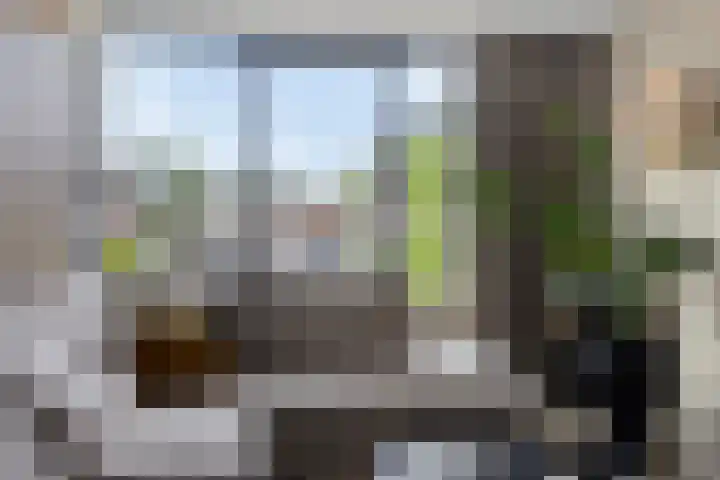Walstro 45 Sneek thumbnail 11