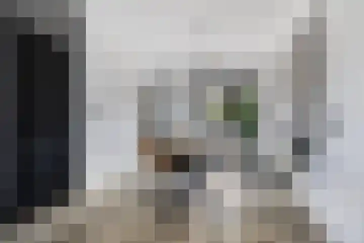 Walstro 45 Sneek thumbnail 13