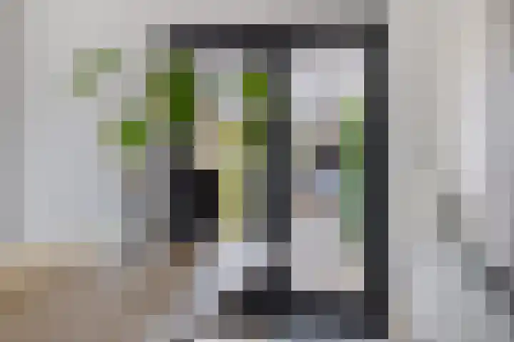 Walstro 45 Sneek thumbnail 14