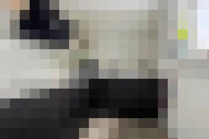 Walstro 45 Sneek thumbnail 15