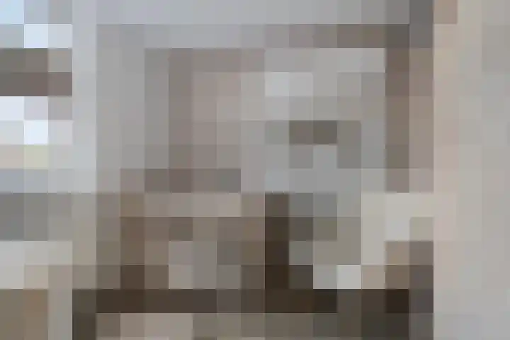 Walstro 45 Sneek thumbnail 17