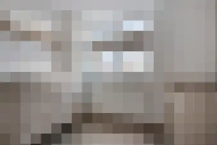 Walstro 45 Sneek thumbnail 18