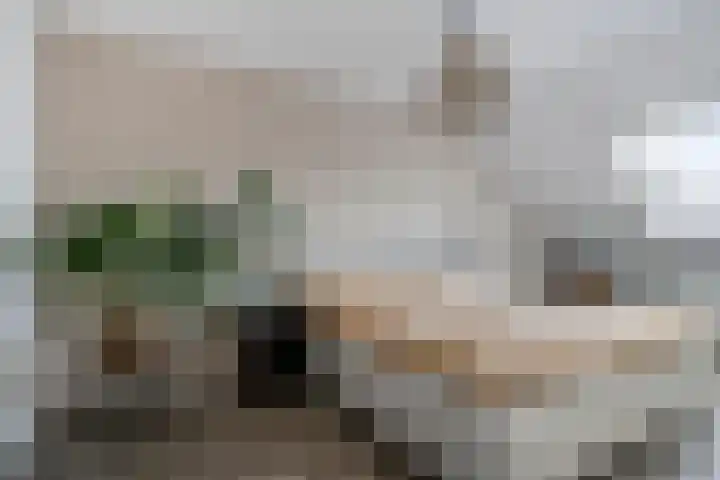 Walstro 45 Sneek thumbnail 19