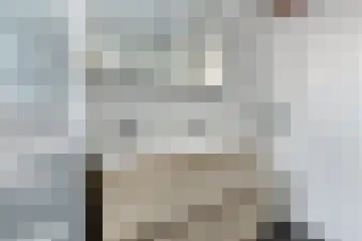 Walstro 45 Sneek thumbnail 22