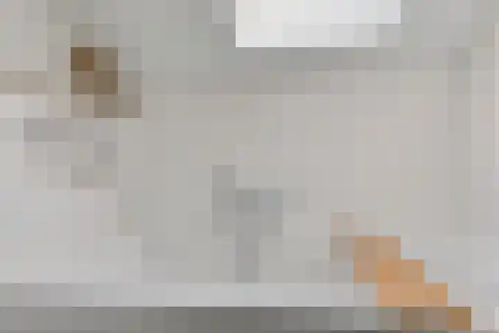 Walstro 45 Sneek thumbnail 24
