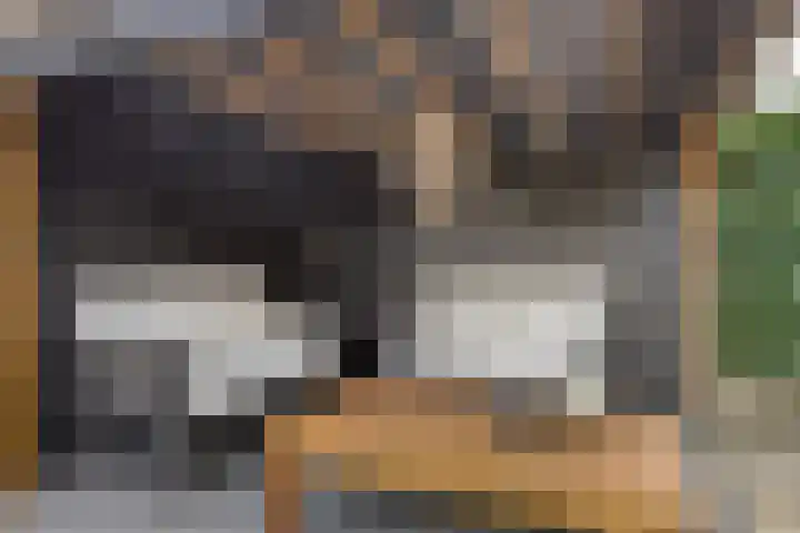 Walstro 45 Sneek thumbnail 28
