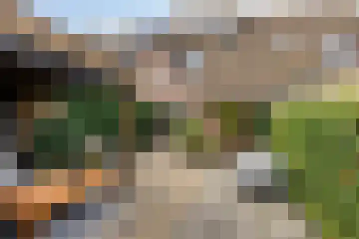 Walstro 45 Sneek thumbnail 29