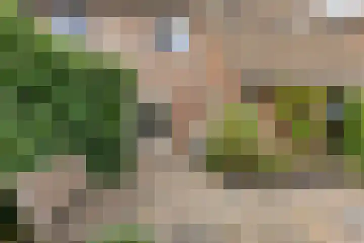 Walstro 45 Sneek thumbnail 30