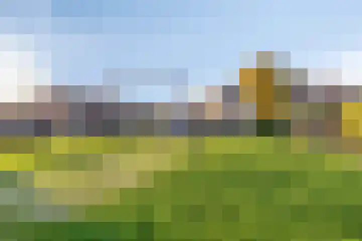 Walstro 45 Sneek thumbnail 32