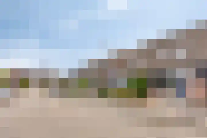 Walstro 45 Sneek thumbnail 5