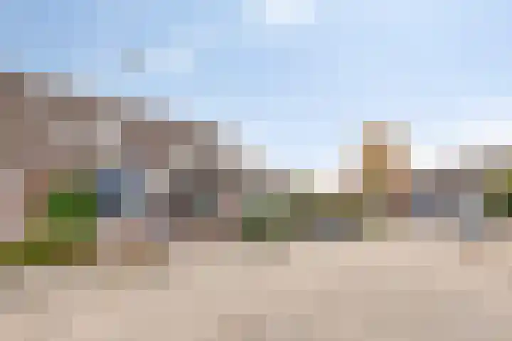 Walstro 45 Sneek thumbnail 6