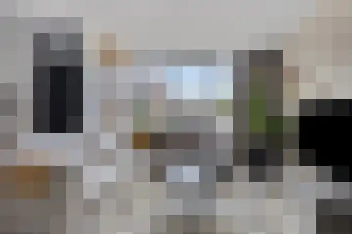Walstro 45 Sneek thumbnail 9