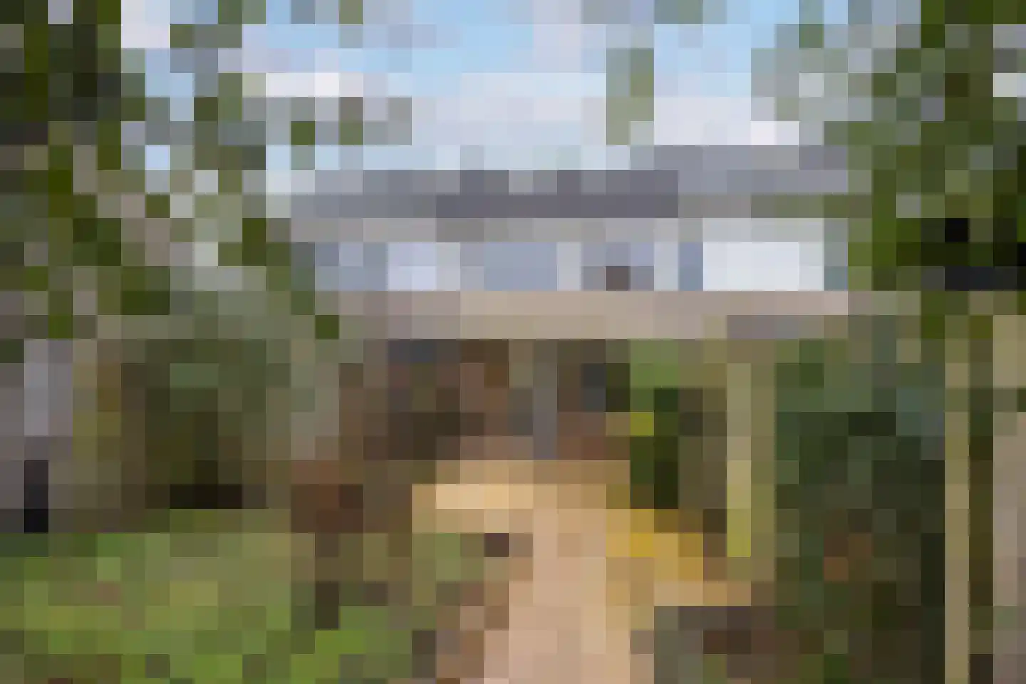 Walstro 5 Leusden thumbnail 14