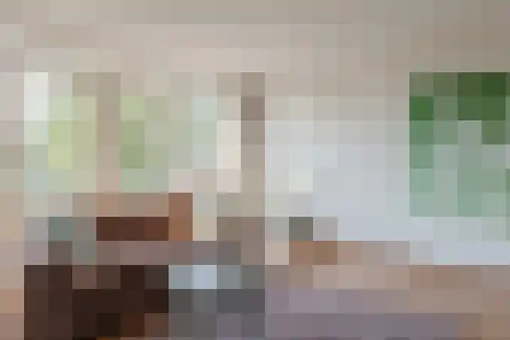 Walstro 51 Cuijk thumbnail 12