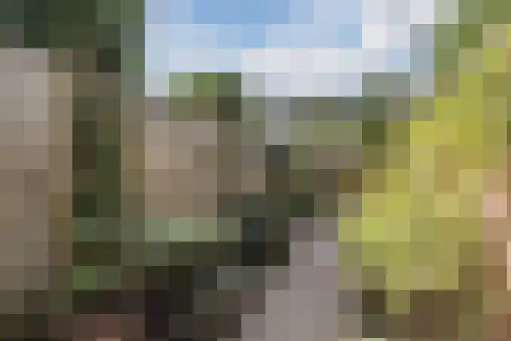 Walstro 51 Cuijk thumbnail 25