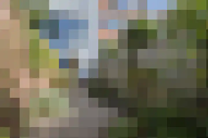 Walstro 51 Cuijk thumbnail 27