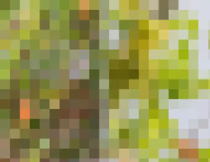 Walstro 51 Cuijk thumbnail 28