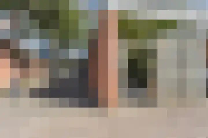 Walstro 51 Cuijk thumbnail 29