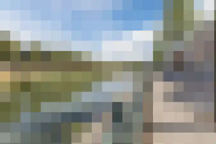 Walstro 51 Cuijk thumbnail 31