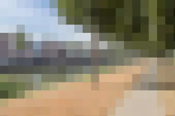 Walstro 51 Cuijk thumbnail 32