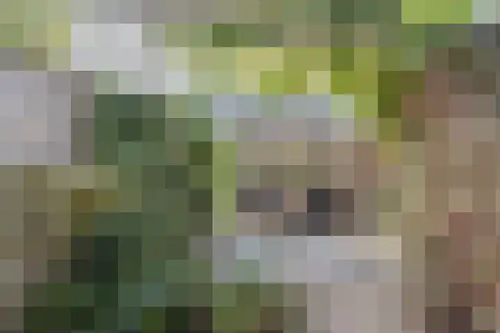 Walstro 51 Cuijk thumbnail 4