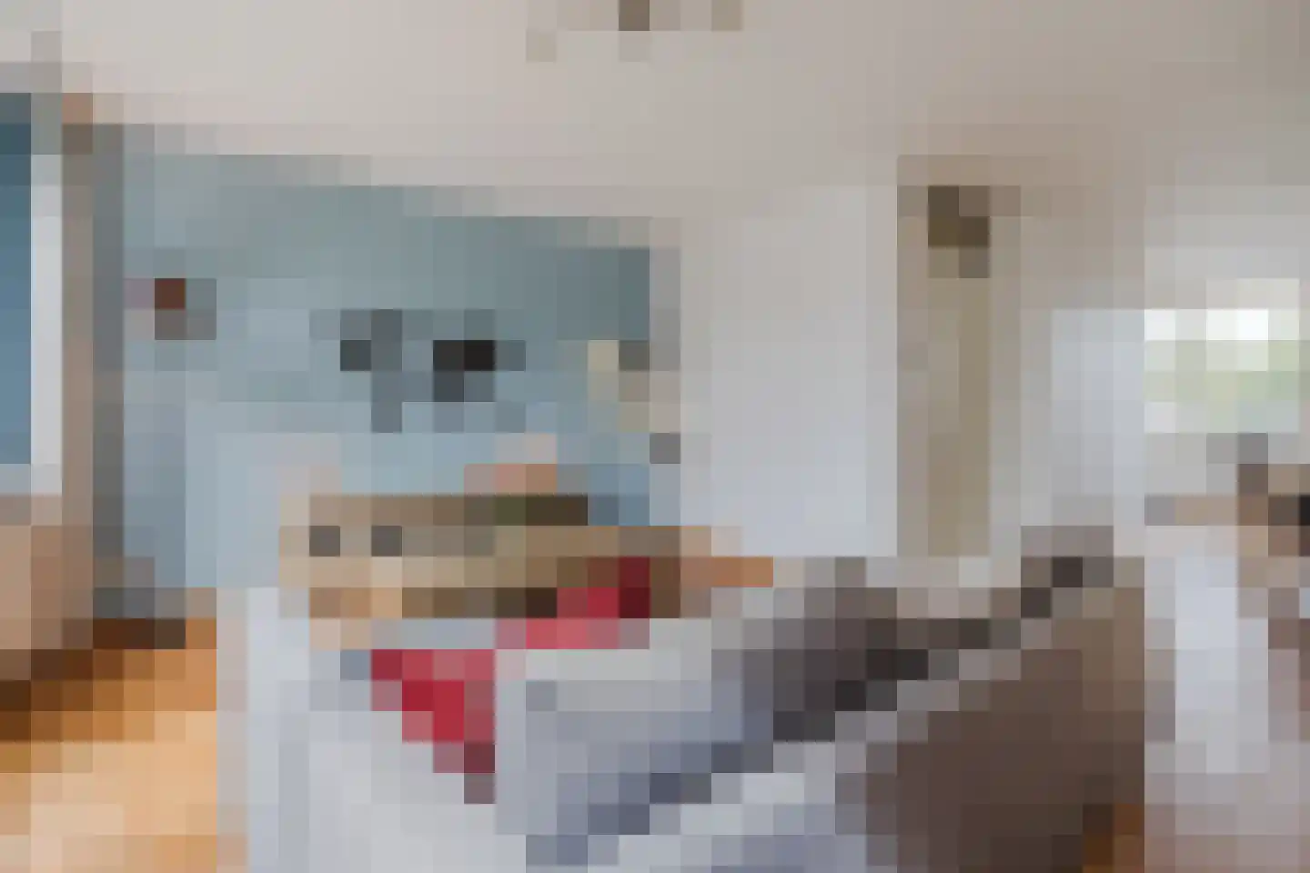 Walstro 52 Cuijk thumbnail 12
