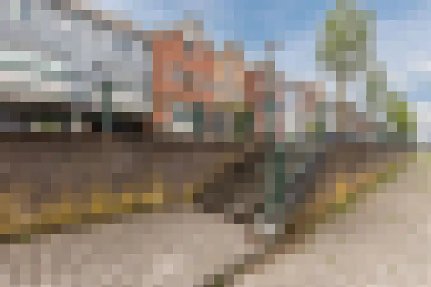 Walstro 52 Cuijk thumbnail 27