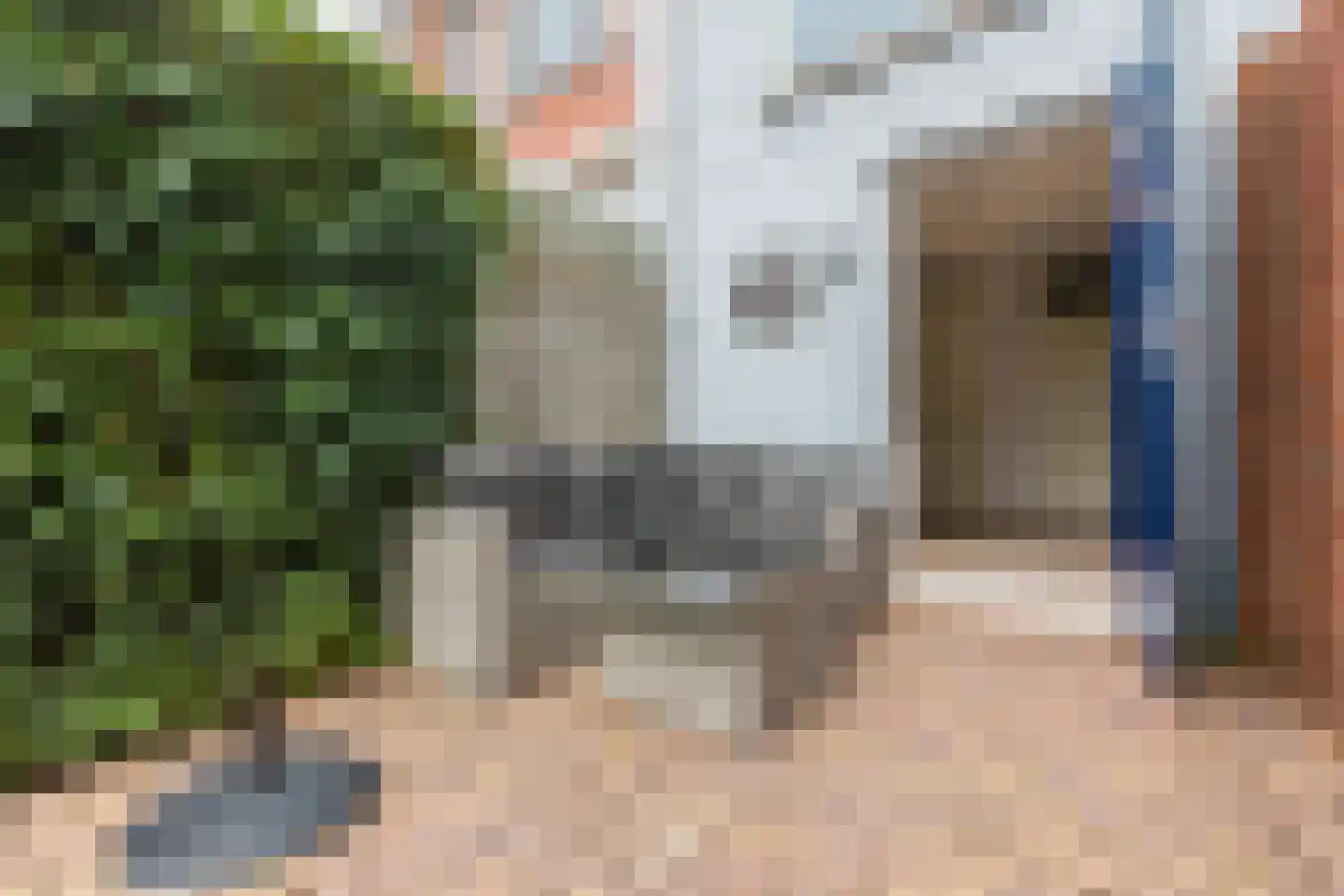 Walstro 52 Cuijk thumbnail 4