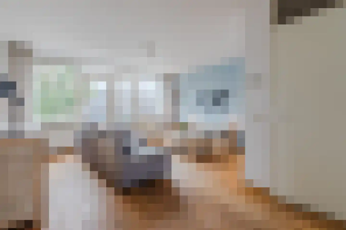 Walstro 52 Cuijk thumbnail 9