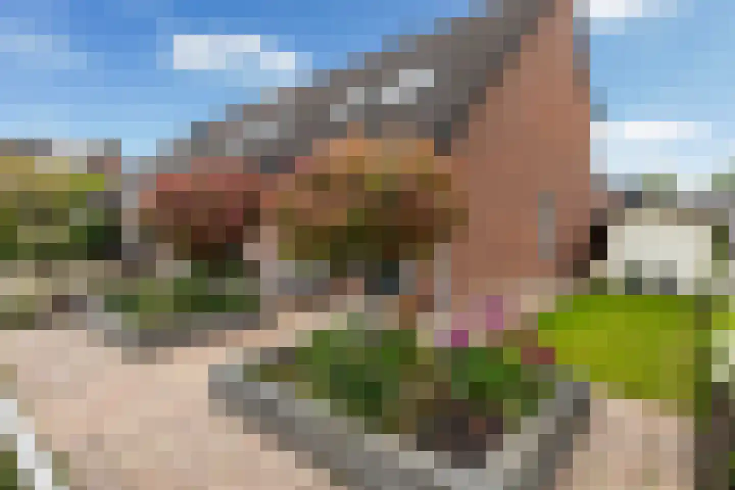 Walstro 52 Sneek thumbnail 10