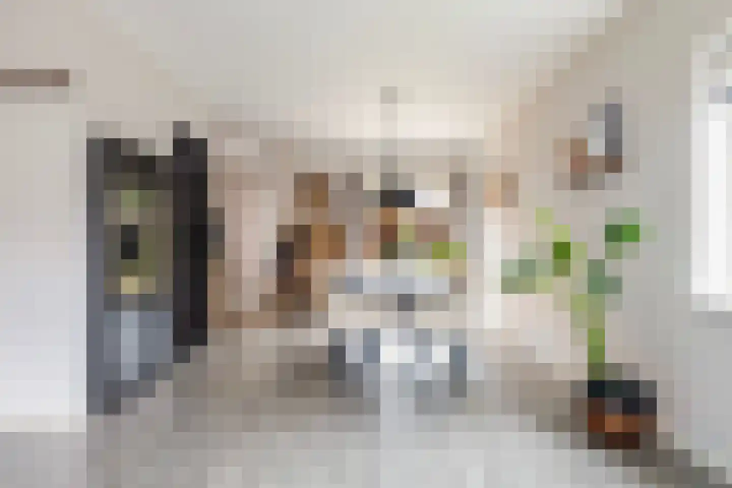 Walstro 52 Sneek thumbnail 18