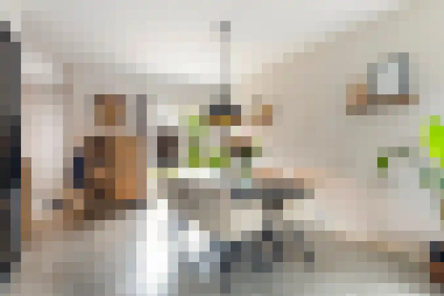 Walstro 52 Sneek thumbnail 19