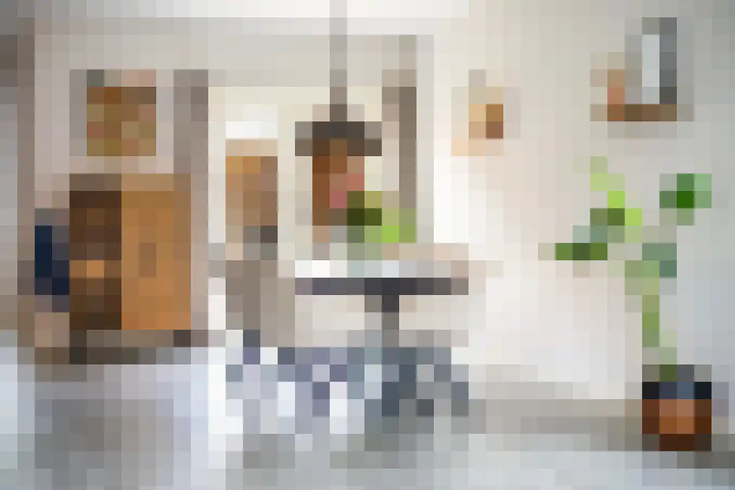 Walstro 52 Sneek thumbnail 20