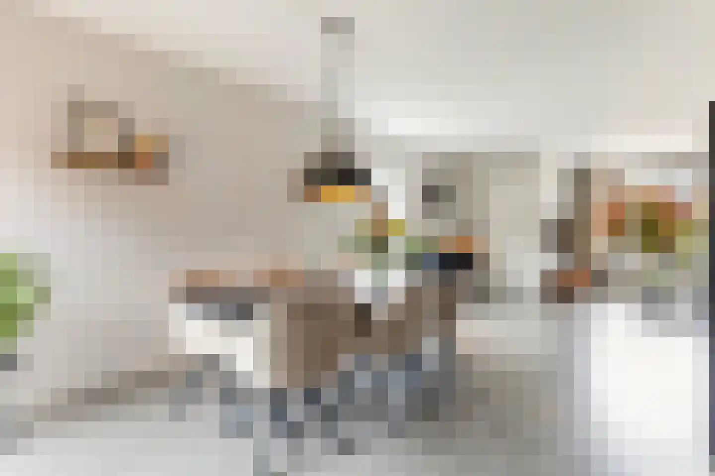 Walstro 52 Sneek thumbnail 21