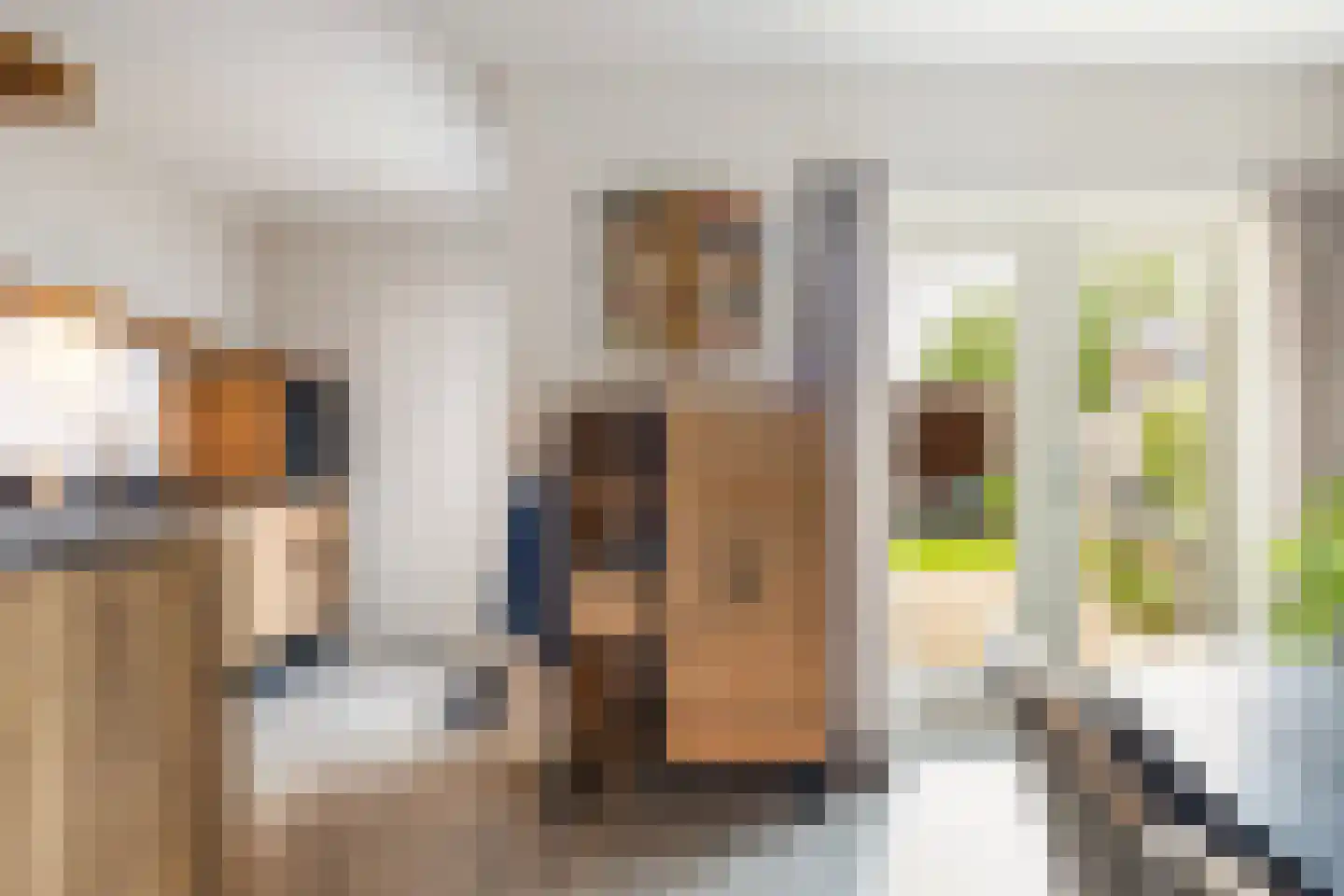 Walstro 52 Sneek thumbnail 23