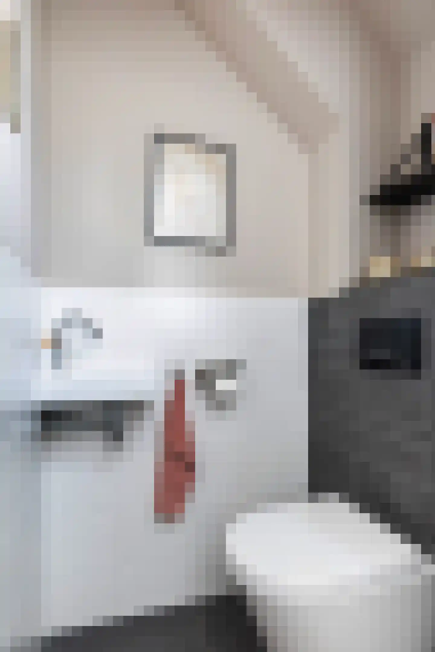 Walstro 52 Sneek thumbnail 29